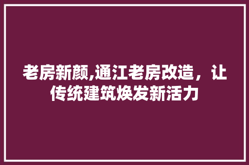 老房新颜,通江老房改造，让传统建筑焕发新活力