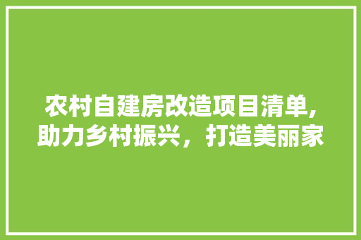 农村自建房改造项目清单,助力乡村振兴，打造美丽家园