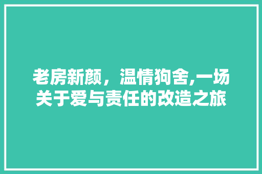 老房新颜,温情狗舍,一场关于爱与责任的改造之旅 墙面装饰 老房新颜,温情狗舍,一场关于爱与责任的改造之旅 墙面装饰