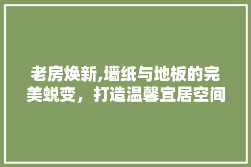 老房焕新,墙纸与地板的完美蜕变，打造温馨宜居空间