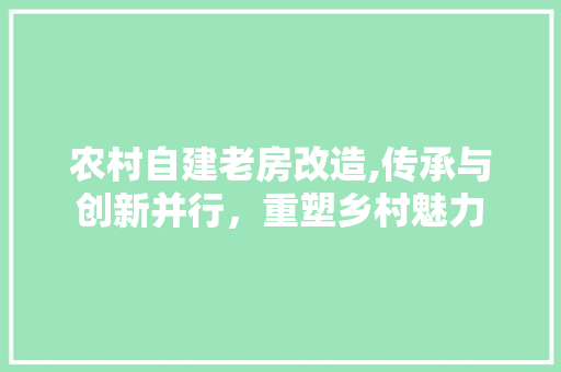 农村自建老房改造,传承与创新并行，重塑乡村魅力