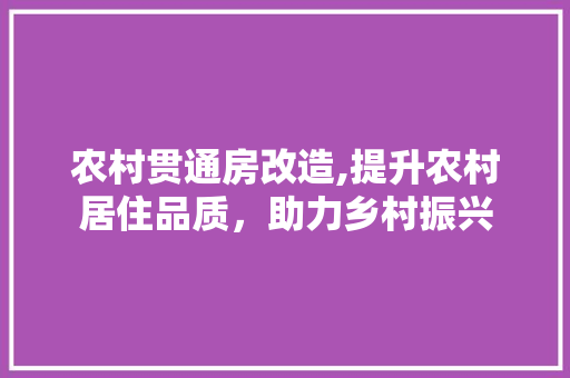 农村贯通房改造,提升农村居住品质，助力乡村振兴