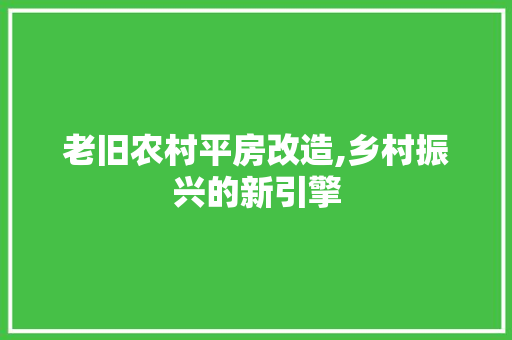 老旧农村平房改造,乡村振兴的新引擎
