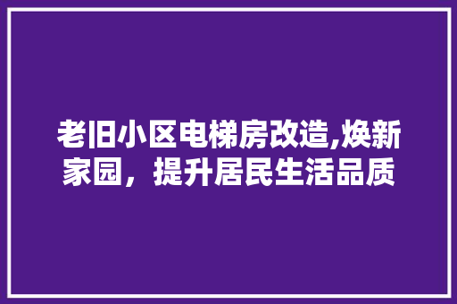 老旧小区电梯房改造,焕新家园，提升居民生活品质 建筑设计