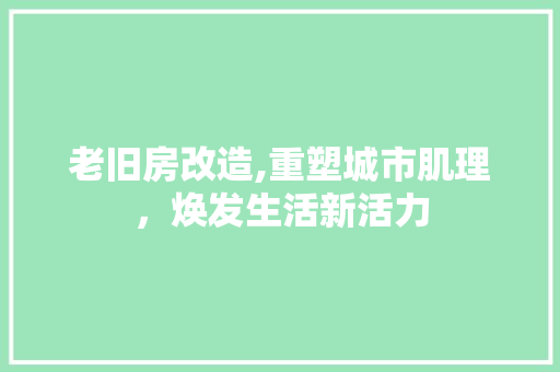 老旧房改造,重塑城市肌理，焕发生活新活力 建筑设计