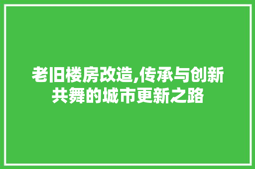 老旧楼房改造,传承与创新共舞的城市更新之路 景观设计