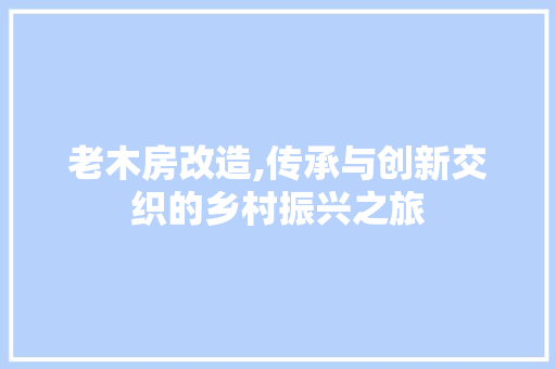 老木房改造,传承与创新交织的乡村振兴之旅 建筑设计
