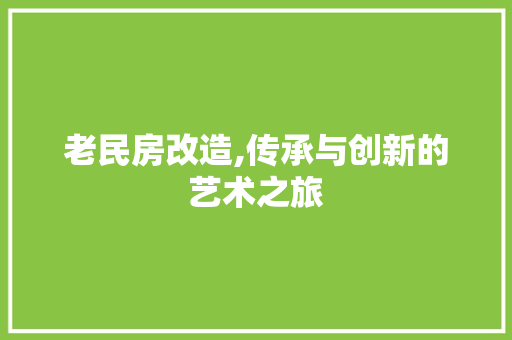 老民房改造,传承与创新的艺术之旅 景观设计
