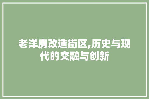 老洋房改造街区,历史与现代的交融与创新