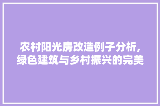 农村阳光房改造例子分析,绿色建筑与乡村振兴的完美融合