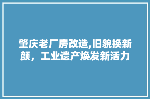 肇庆老厂房改造,旧貌换新颜，工业遗产焕发新活力 景观设计