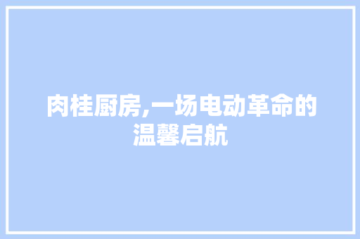 肉桂厨房,一场电动革命的温馨启航