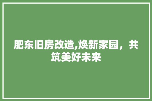肥东旧房改造,焕新家园，共筑美好未来 装修攻略