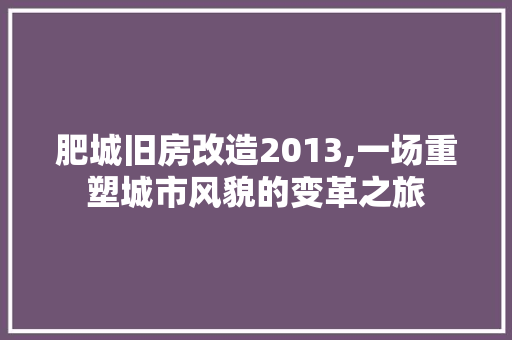 肥城旧房改造2013,一场重塑城市风貌的变革之旅 门窗装修