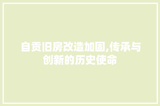 自贡旧房改造加固,传承与创新的历史使命 墙面装饰