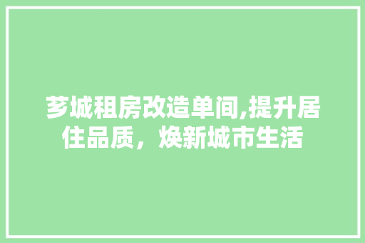 芗城租房改造单间,提升居住品质，焕新城市生活 景观设计