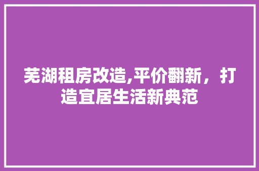 芜湖租房改造,平价翻新，打造宜居生活新典范 墙面装饰