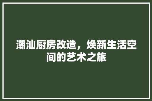 潮汕厨房改造，焕新生活空间的艺术之旅