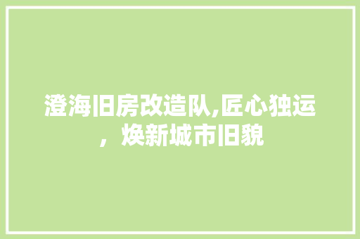 澄海旧房改造队,匠心独运，焕新城市旧貌 门窗装修