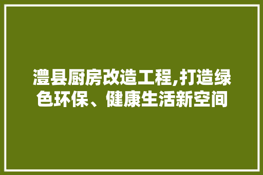 澧县厨房改造工程,打造绿色环保、健康生活新空间 隔断设计