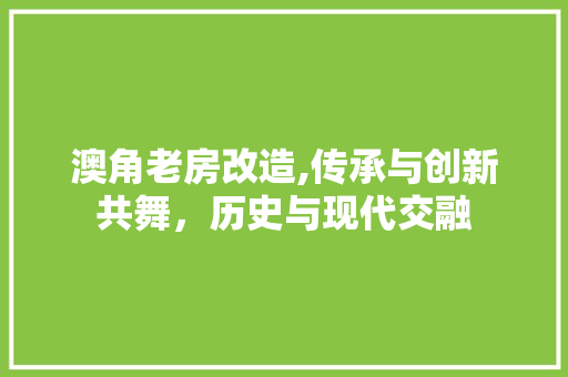 澳角老房改造,传承与创新共舞，历史与现代交融 庭院装修