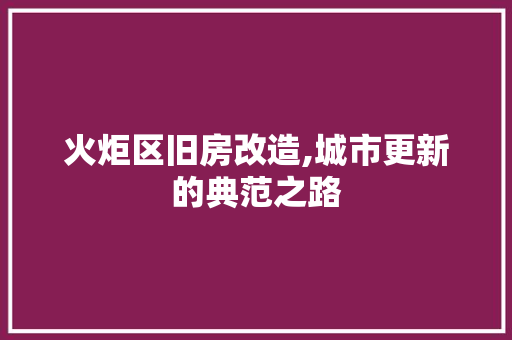 火炬区旧房改造,城市更新的典范之路 装修攻略