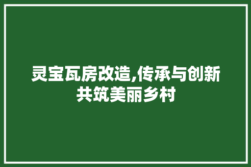 灵宝瓦房改造,传承与创新共筑美丽乡村 建筑设计