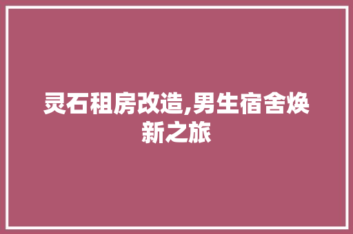 灵石租房改造,男生宿舍焕新之旅 隔断设计