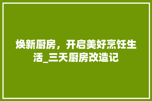 焕新厨房，开启美好烹饪生活_三天厨房改造记 隔断设计