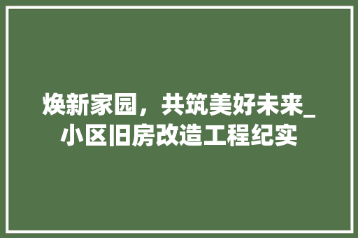 焕新家园，共筑美好未来_小区旧房改造工程纪实 墙面装饰