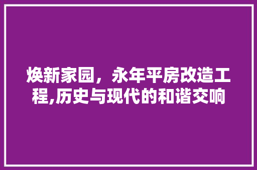 焕新家园，永年平房改造工程,历史与现代的和谐交响