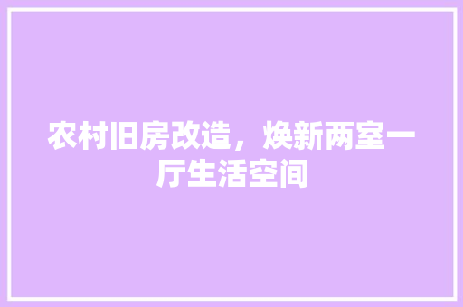 农村旧房改造，焕新两室一厅生活空间 景观设计