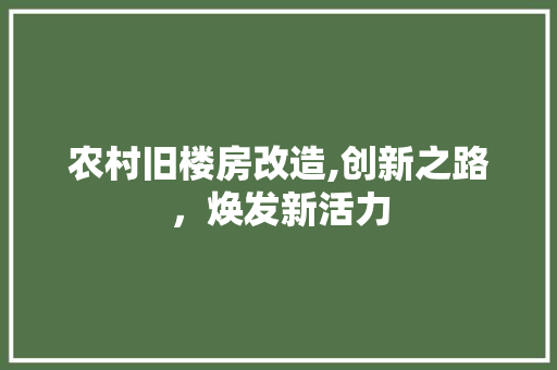 农村旧楼房改造,创新之路，焕发新活力 隔断设计