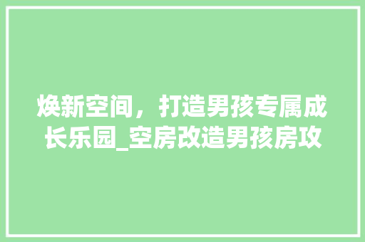 焕新空间，打造男孩专属成长乐园_空房改造男孩房攻略 隔断设计