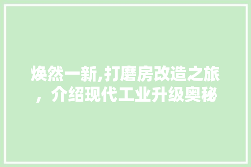 焕然一新,打磨房改造之旅，介绍现代工业升级奥秘