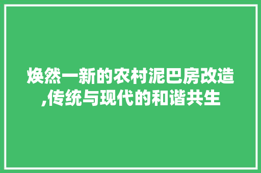 焕然一新的农村泥巴房改造,传统与现代的和谐共生 地面装修