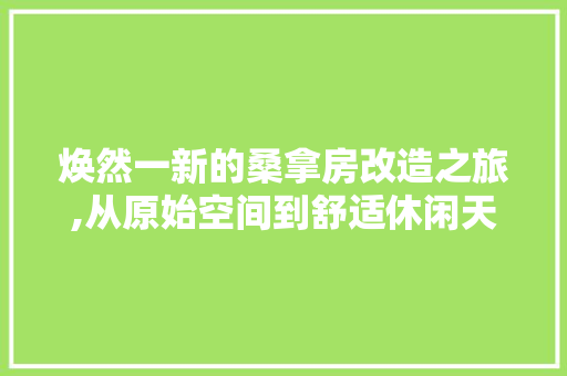 焕然一新的桑拿房改造之旅,从原始空间到舒适休闲天堂 墙面装饰