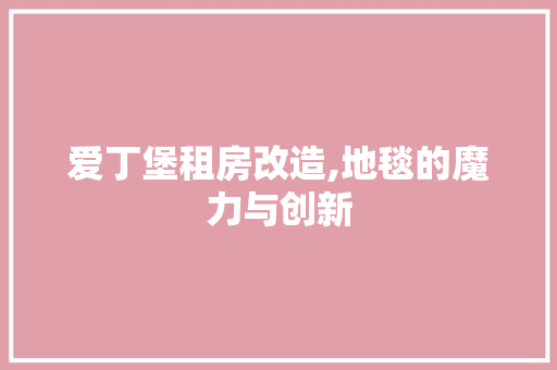 爱丁堡租房改造,地毯的魔力与创新 建筑设计