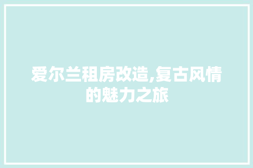 爱尔兰租房改造,复古风情的魅力之旅 墙面装饰