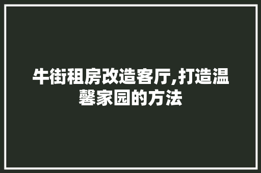 牛街租房改造客厅,打造温馨家园的方法 隔断设计