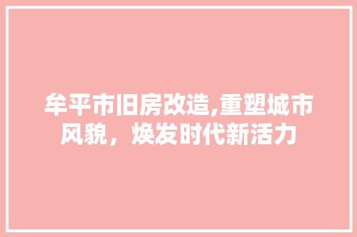 牟平市旧房改造,重塑城市风貌，焕发时代新活力 墙面装饰