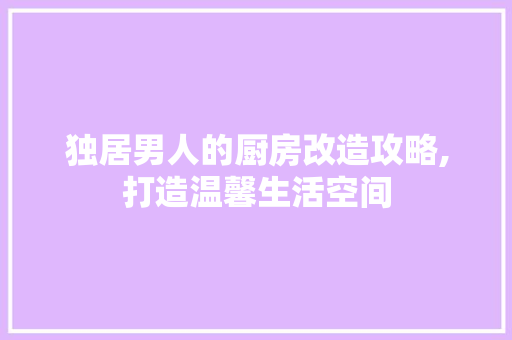 独居男人的厨房改造攻略,打造温馨生活空间 建筑设计