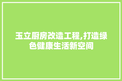 玉立厨房改造工程,打造绿色健康生活新空间 地面装修