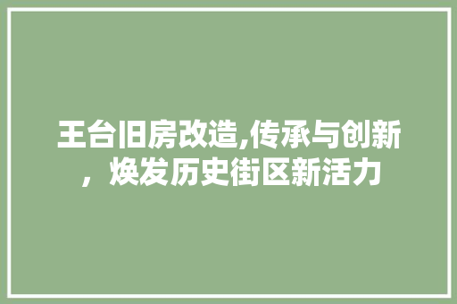 王台旧房改造,传承与创新，焕发历史街区新活力