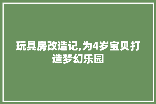 玩具房改造记,为4岁宝贝打造梦幻乐园