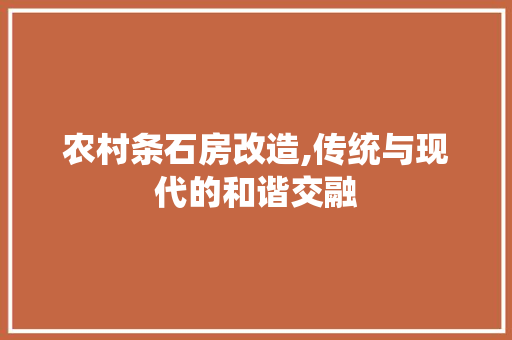 农村条石房改造,传统与现代的和谐交融