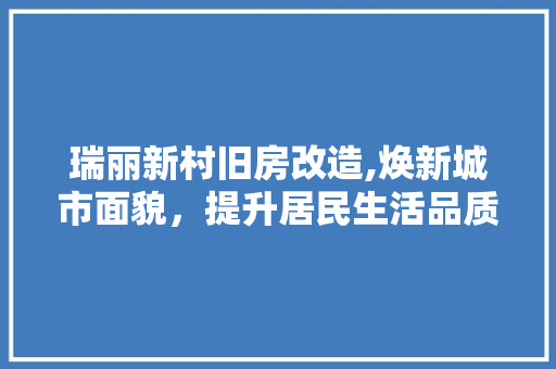 瑞丽新村旧房改造,焕新城市面貌，提升居民生活品质 墙面装饰
