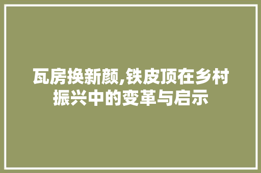 瓦房换新颜,铁皮顶在乡村振兴中的变革与启示 建筑设计