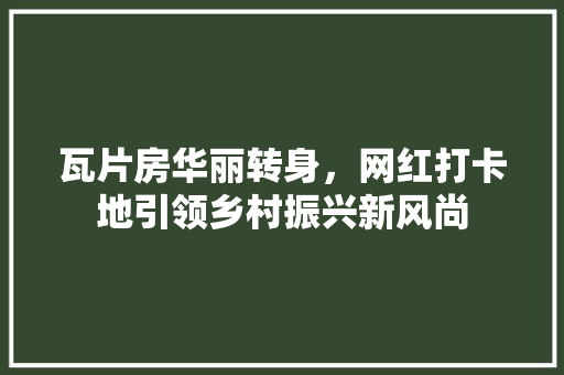 瓦片房华丽转身，网红打卡地引领乡村振兴新风尚