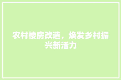 农村楼房改造，焕发乡村振兴新活力 装修攻略